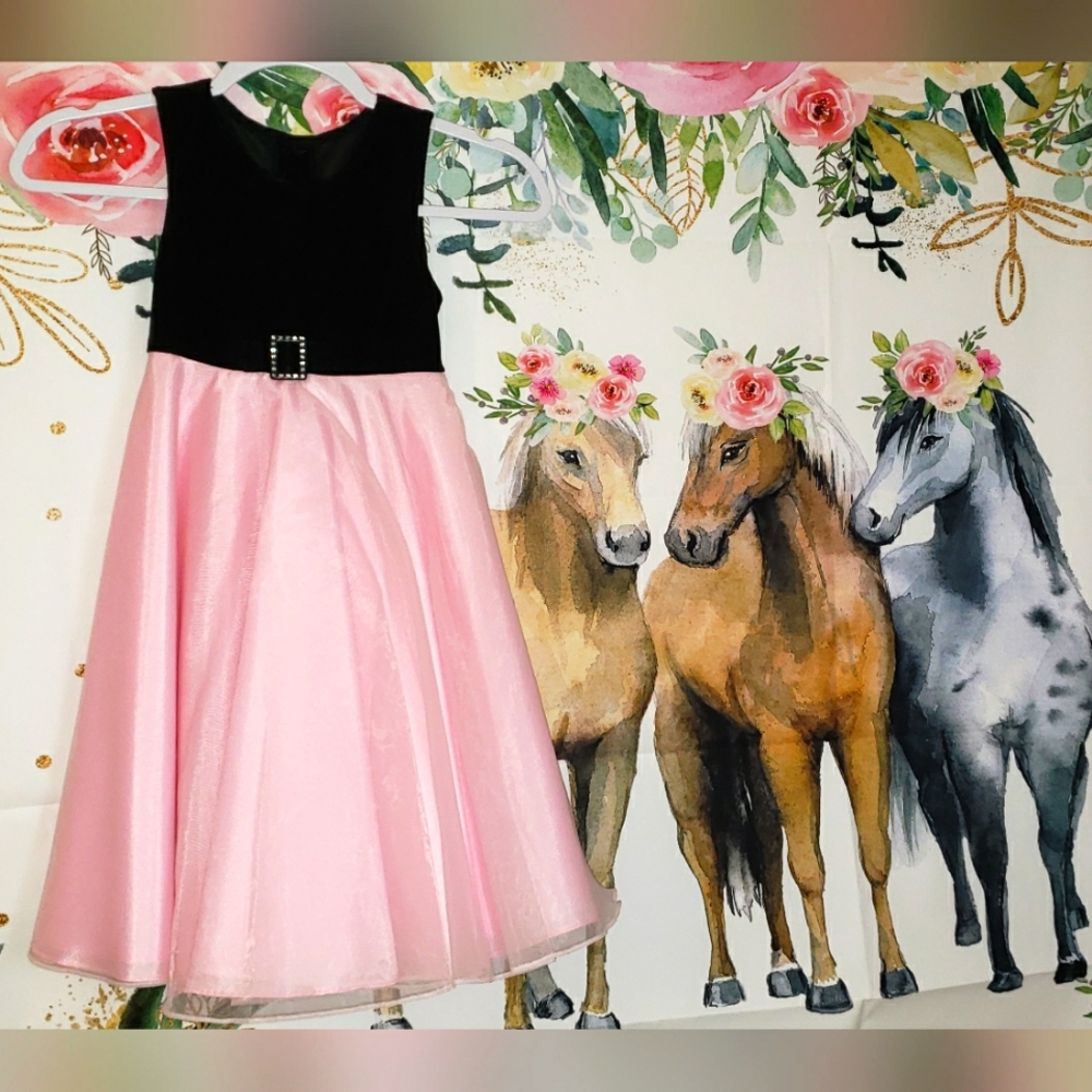 Perfectly Dressed pink & black dress size 6X. (Cpd210)